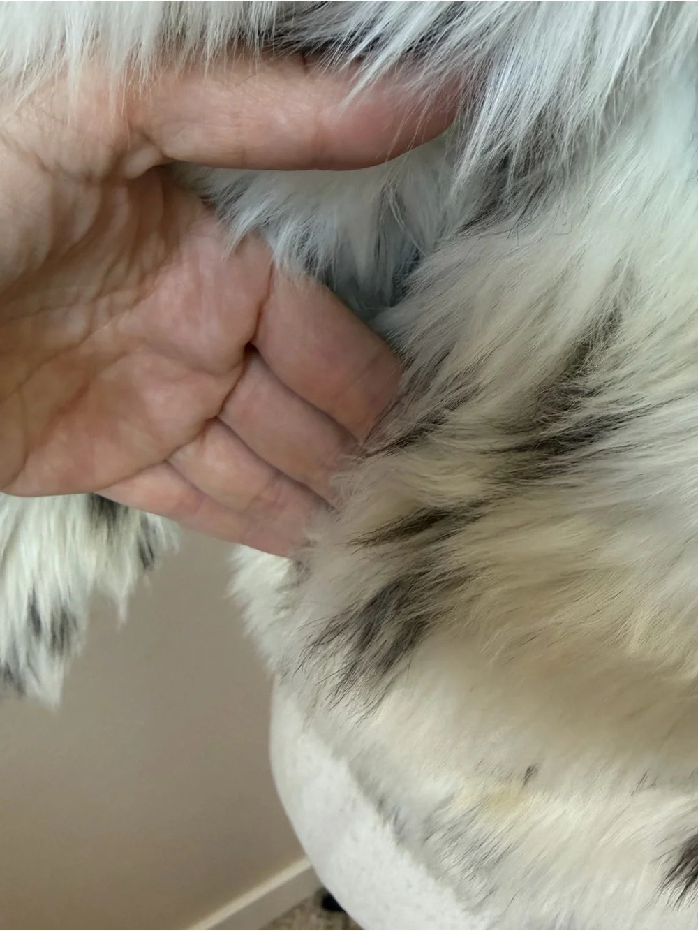 Fabulous Furs good hair